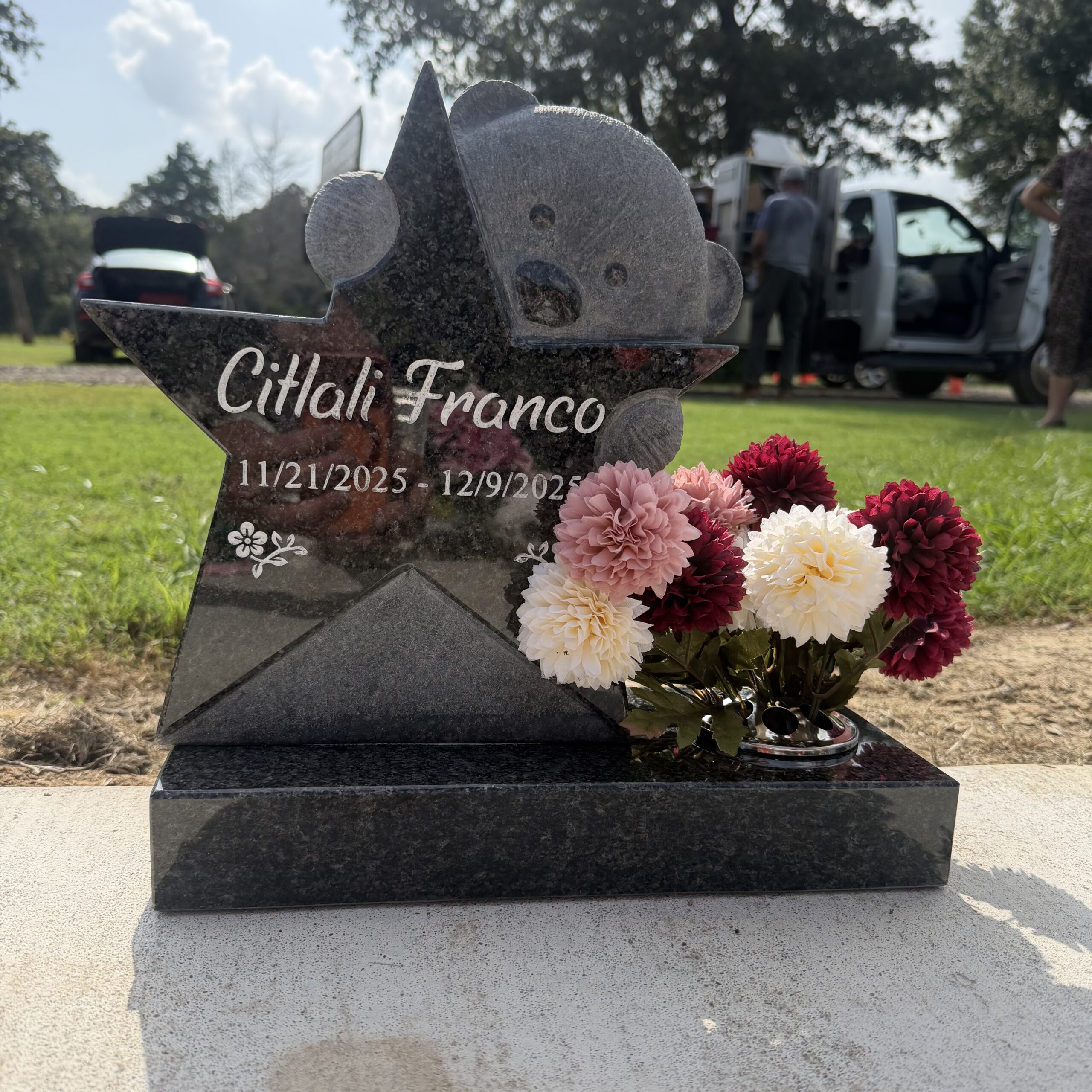 IMG 9933 CGM 1 scaled